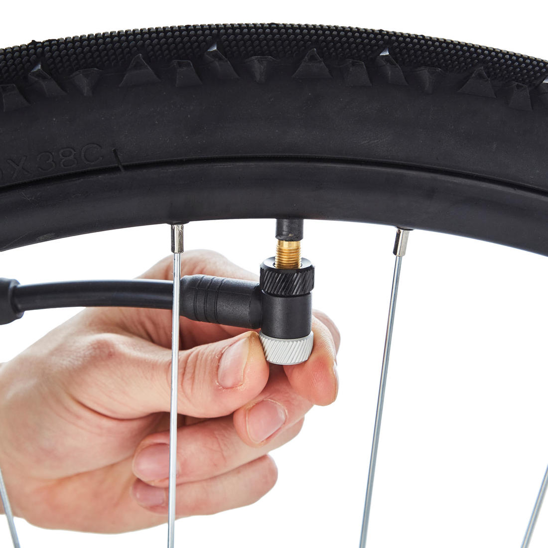 IMG_8582549_8