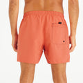 IMG_8915664_4