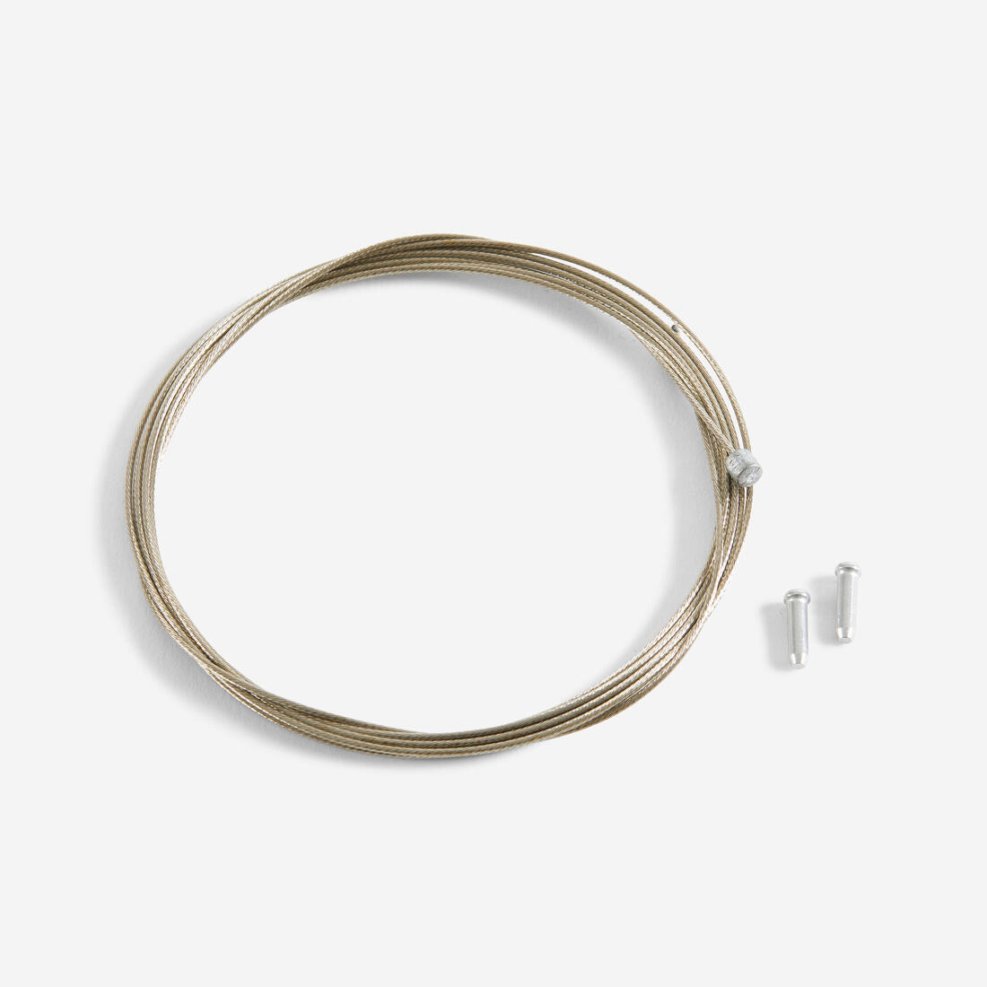IMG_8555634_1
