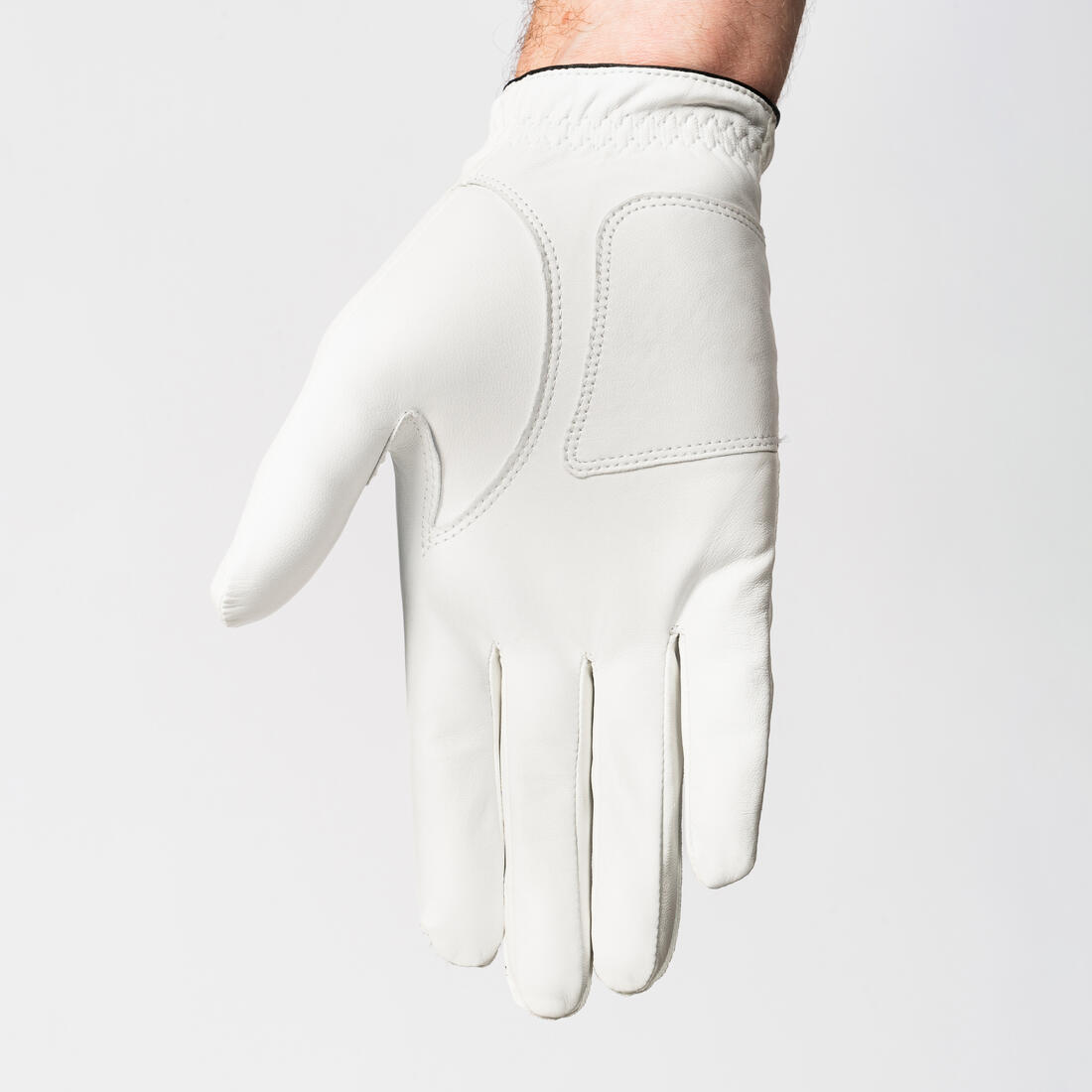 IMG_8540158_2